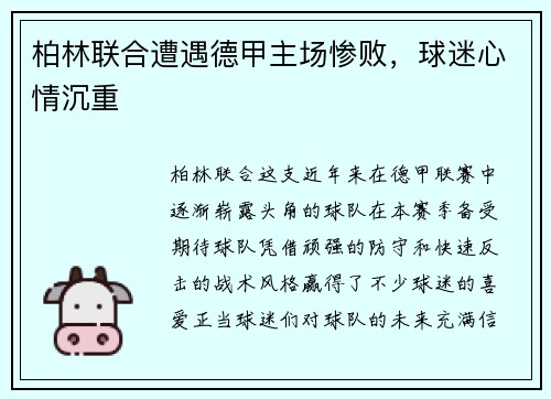 柏林联合遭遇德甲主场惨败，球迷心情沉重